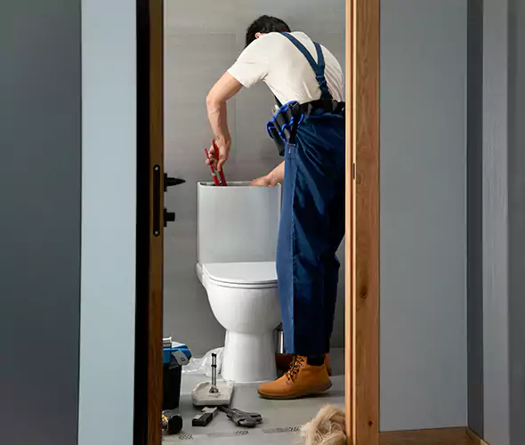 Professional Plumbers for Toilet Bowl Replacement in Loma Linda, CA: Schedule Affordable Toilet Replacement Services With Us