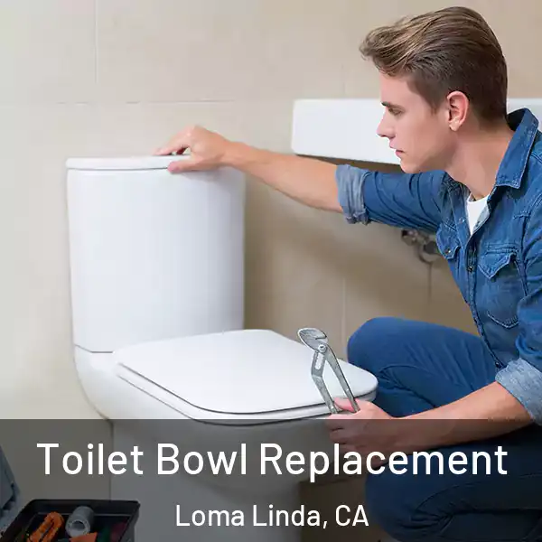  Toilet Bowl Replacement Loma Linda, CA